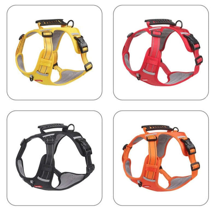 Harnais anti-traction pour chien Confort et sécurité