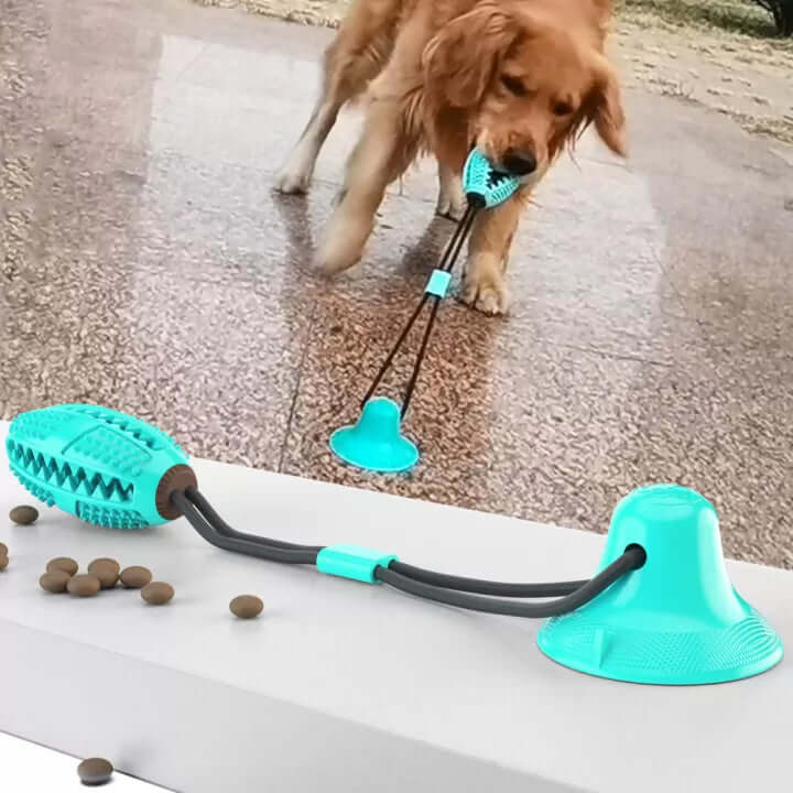 Jouet à tirer robuste pour chien avec ventouse