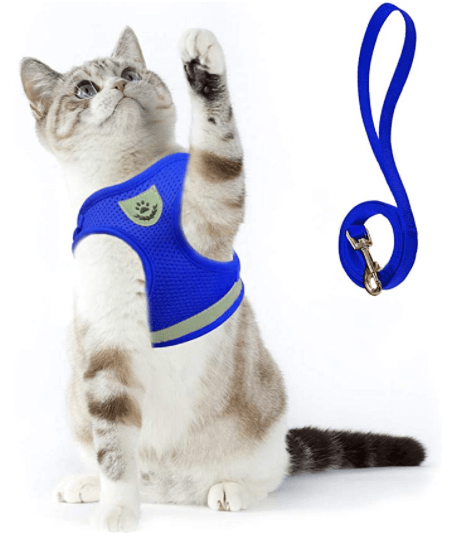 Ausbruchsicheres Katzengeschirr mit Leine