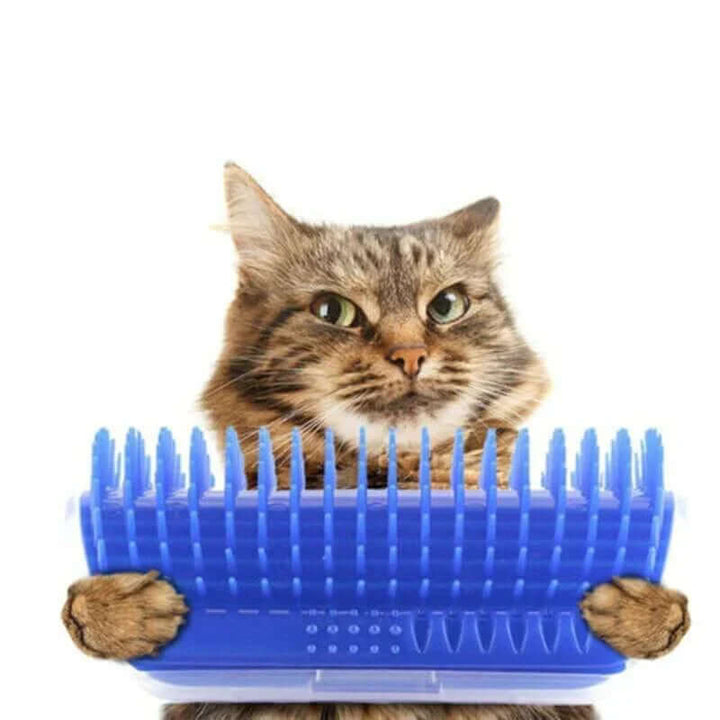 Brosse d'auto-toilettage pour chat pour le coin