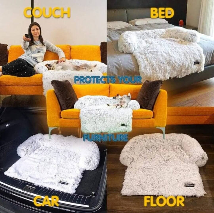 Canapé confortable pour chien et animal de compagnie