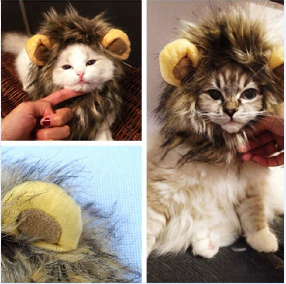 Crinière de lion pour chat, crinière de costume pour animal de compagnie
