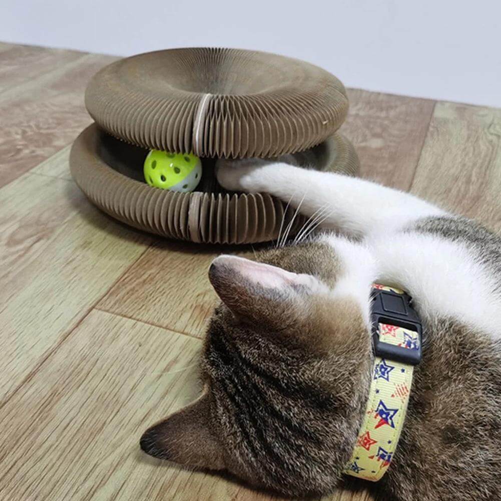 Jouets interactifs pour chats - jeux et divertissements