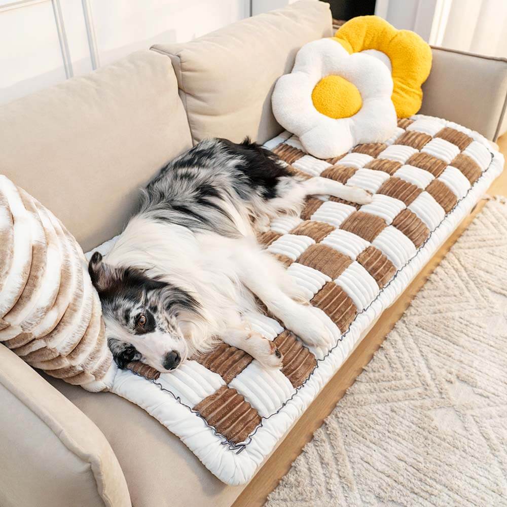 Couverture douillette pour animaux de compagnie, canapé, protection des meubles, chenille