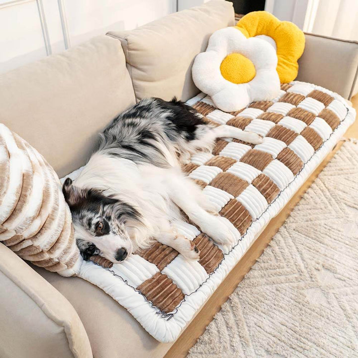 Couverture douillette pour animaux de compagnie, canapé, protection des meubles, chenille