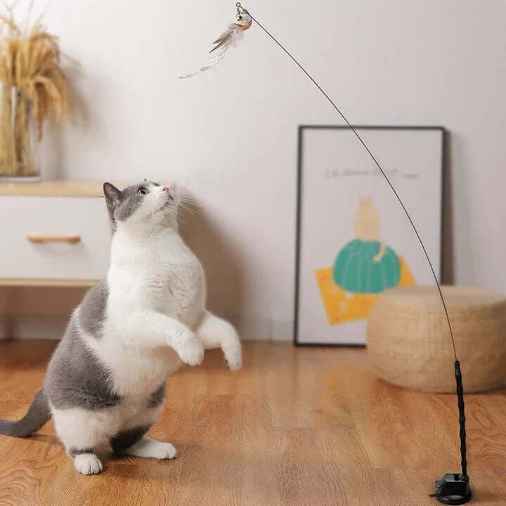Jouet interactif pour chat - Oiseau à plumes