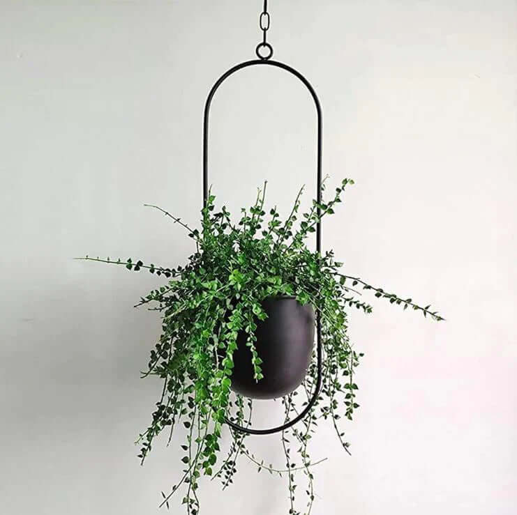 Porte-plantes moderne - élégant et robuste pour une utilisation intérieure et extérieure