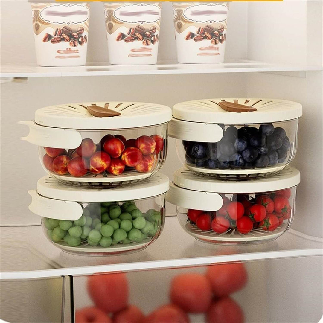 Ensemble de contenants de conservation - conservation des fruits et légumes