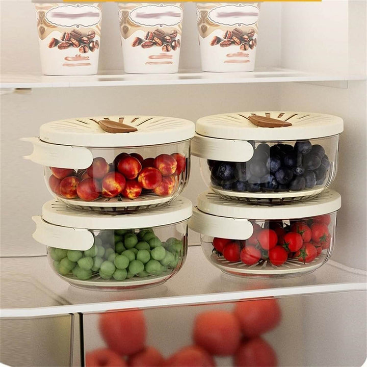 Ensemble de contenants de conservation - conservation des fruits et légumes