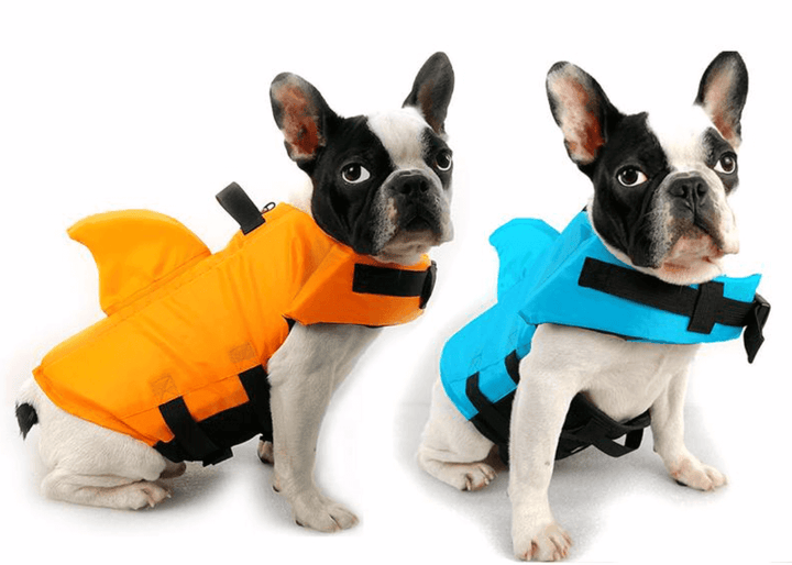 Gilet de sauvetage pour chien - Sûr et confortable