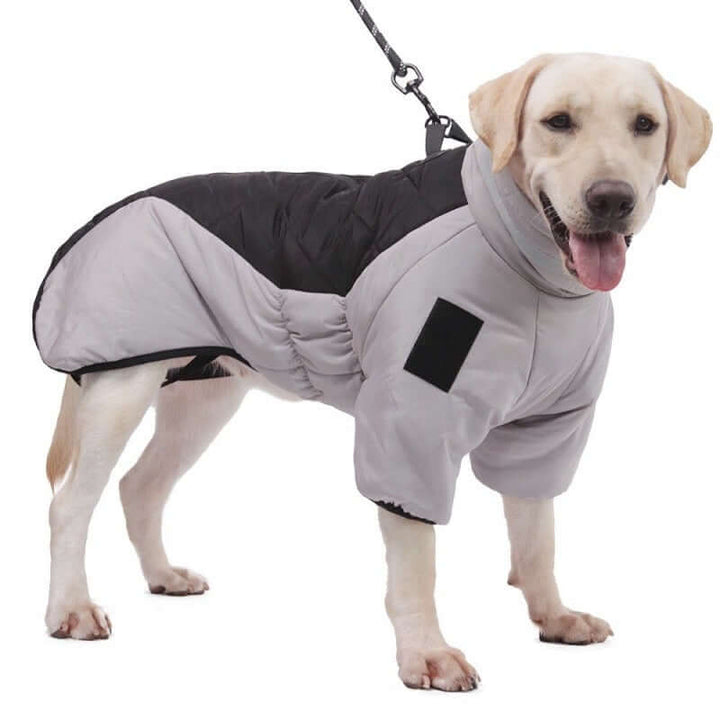 Veste imperméable pour chien de taille moyenne
