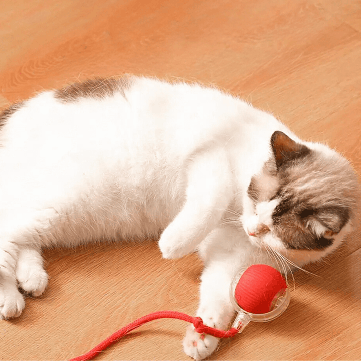 Balle interactive pour chat avec queue