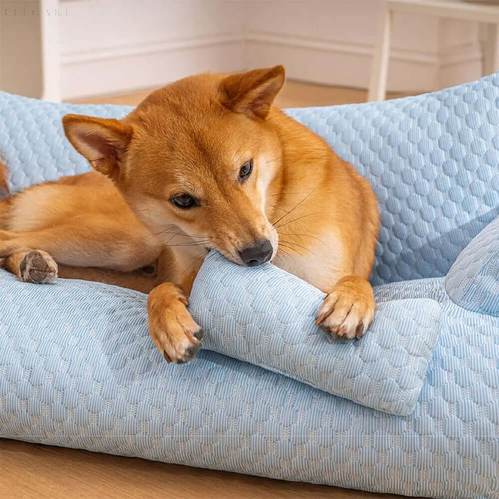 Panier lavable en peluche pour animaux de compagnie - Orthopédique et confortable