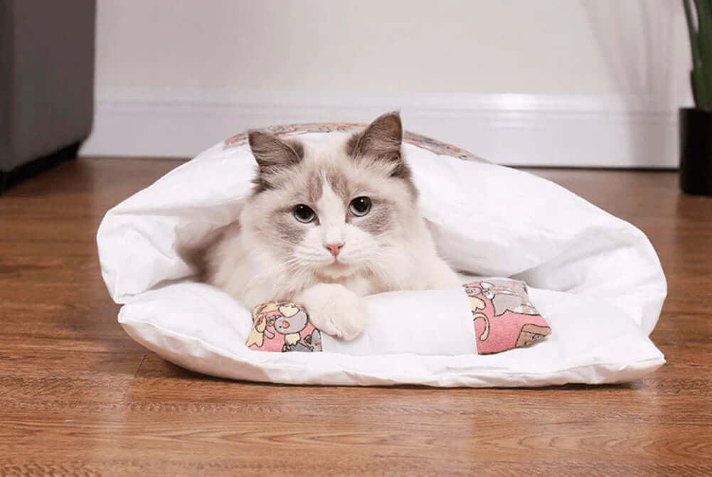 Sac de couchage pour chat en peluche pour des nuits douillettes