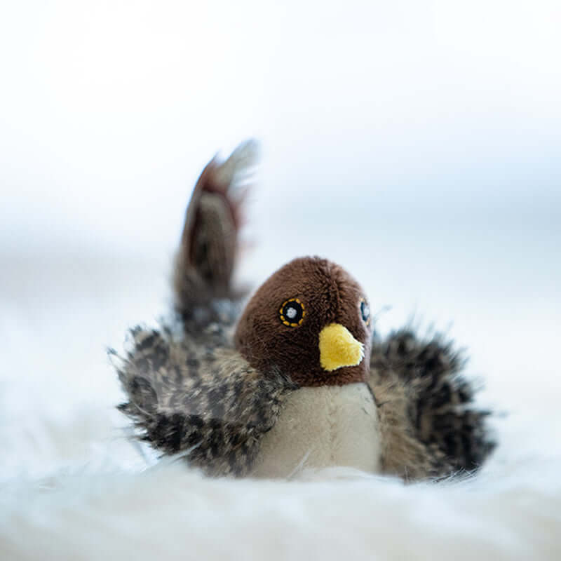 Jouet interactif pour chat oiseau avec sons