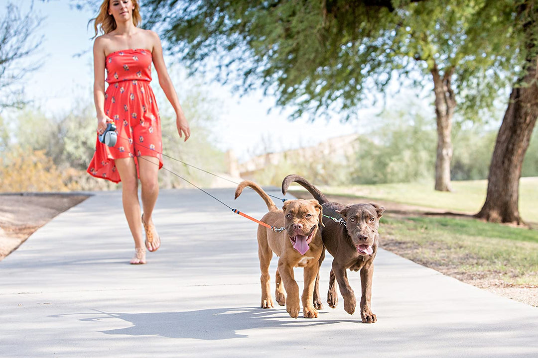 "Dual Dog Flexileine mit 360-Grad-Technologie, ergonomisch, reflektierend, für zwei Hunde, farbcodierte Leinen"