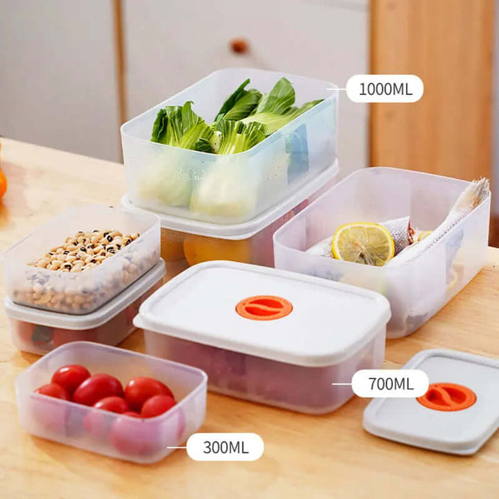 Boîte à bento multi-compartiments - Lunchbox durable