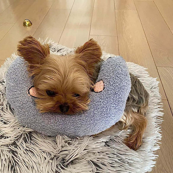 Coussin câlin pour chien pour le repos et le confort