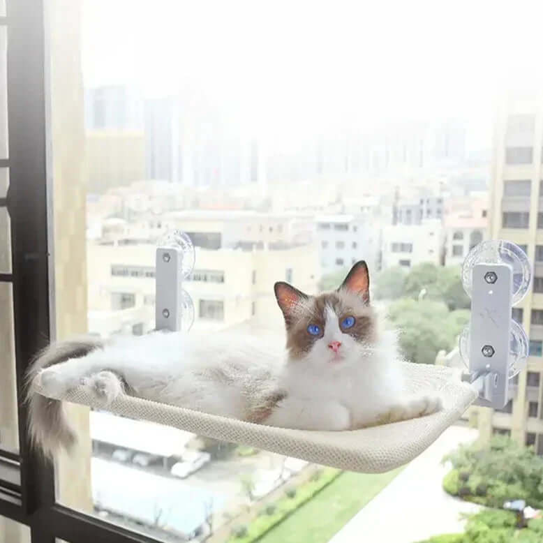 Hamac mural pour chats - vue panoramique