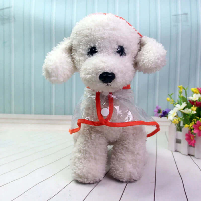 Veste imperméable transparente pour chien