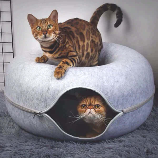 Lit luxueux pour chat et grotte de jeu