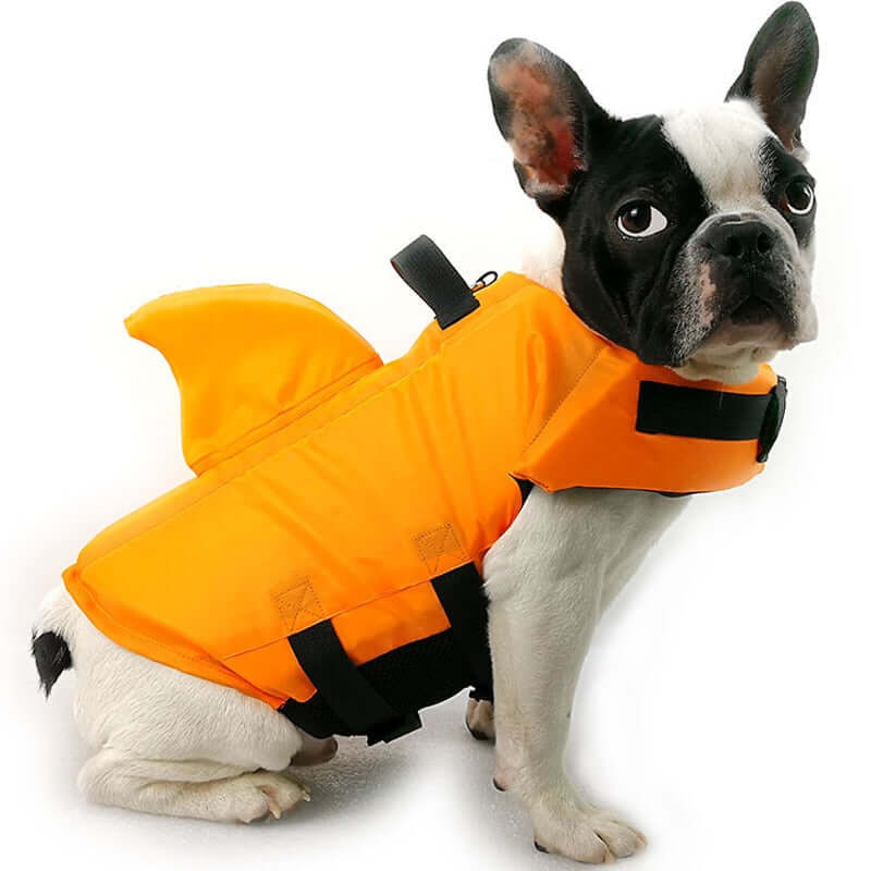 Gilet de sauvetage pour chien - Sûr et confortable