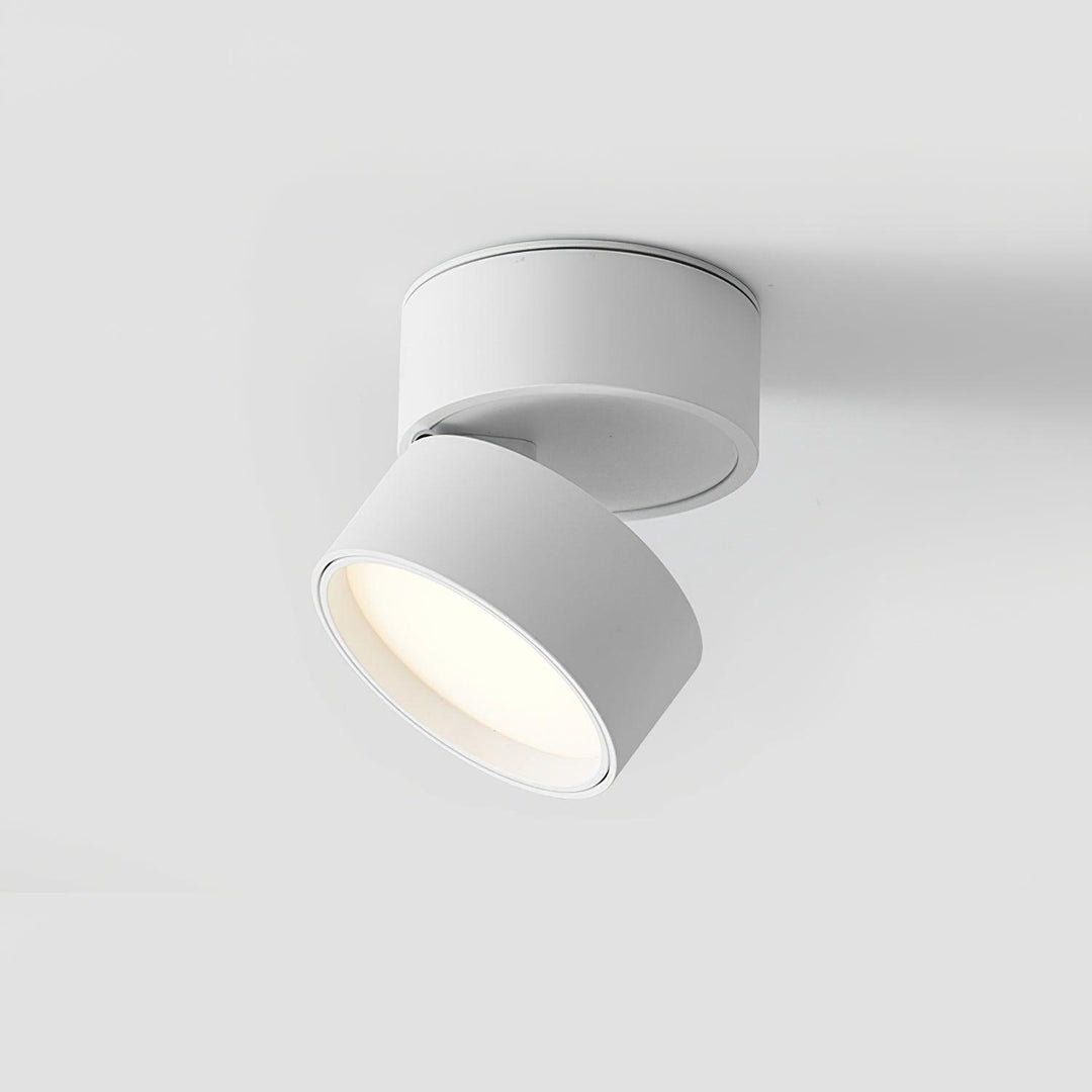 Verstellbare Deckenleuchte, Aluminium, 10cm