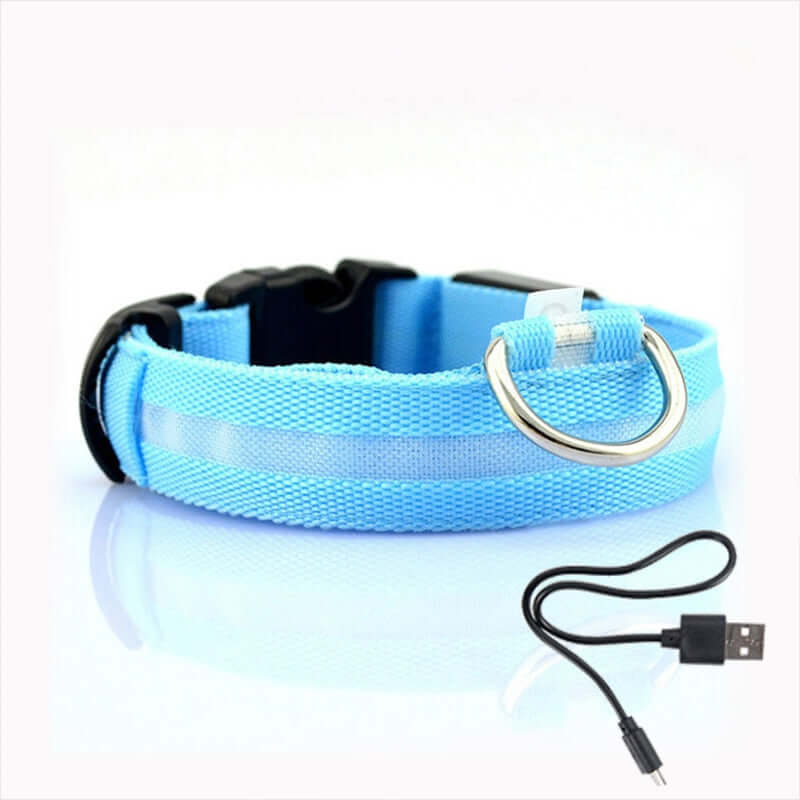 Collier LED pour chien - collier de sécurité