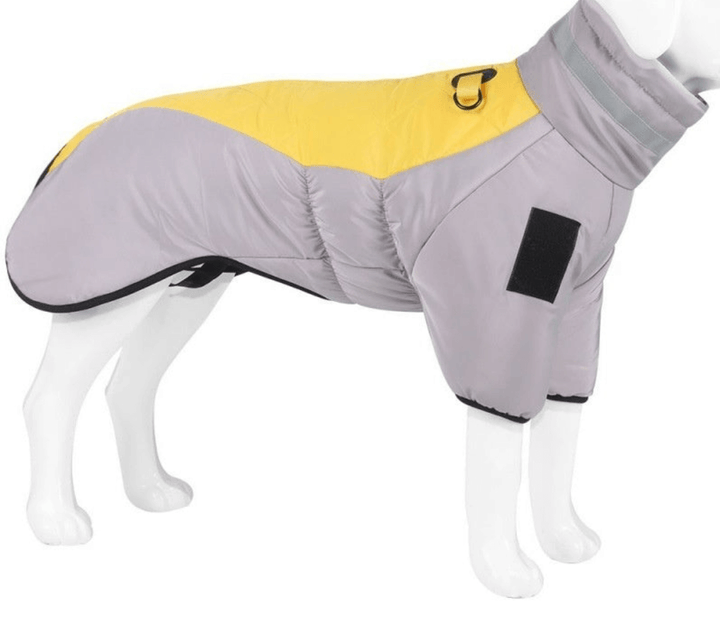 Veste imperméable pour chien de taille moyenne