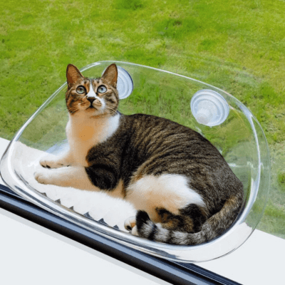 Siège de fenêtre pour chat KittyView