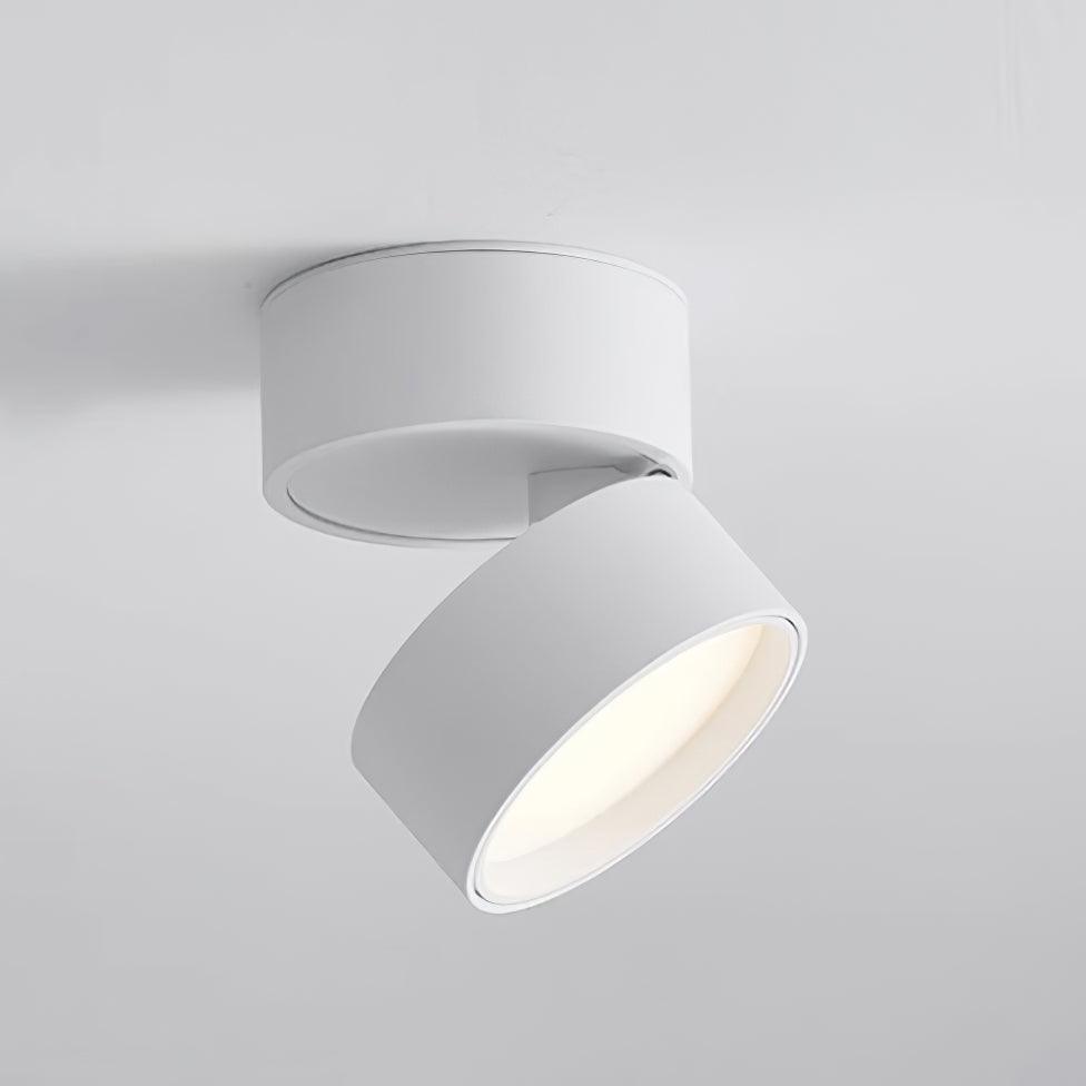 Verstellbare Deckenleuchte, Aluminium, 10cm