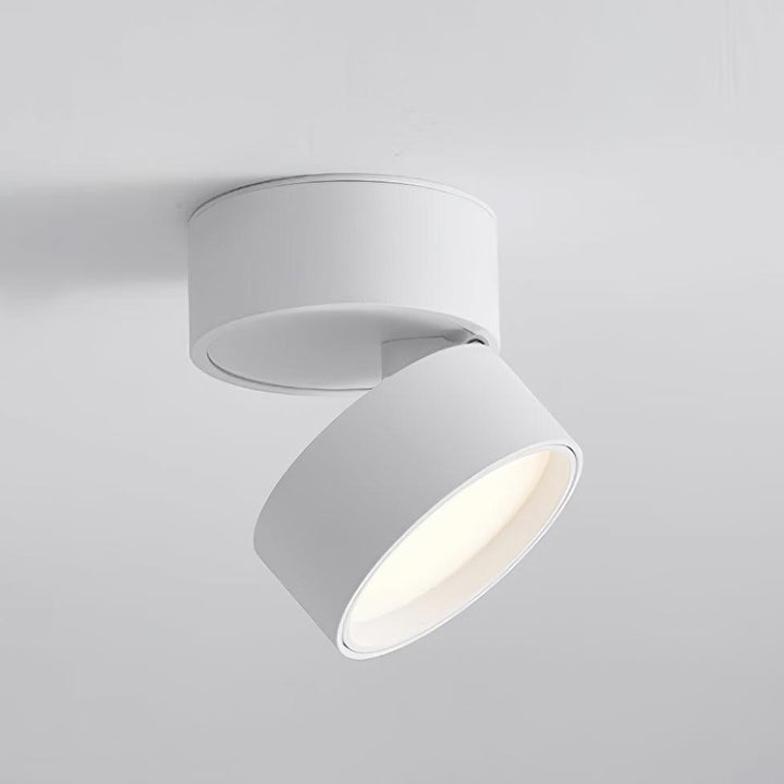 Verstellbare Deckenleuchte, Aluminium, 10cm