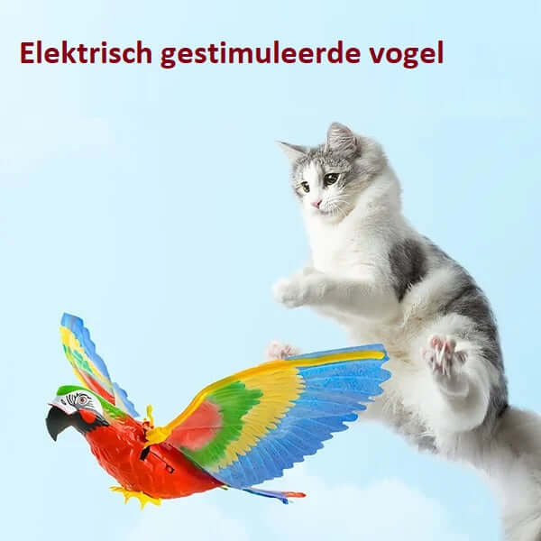 Jouet pour chat oiseau volant - jouet à mouvement automatique