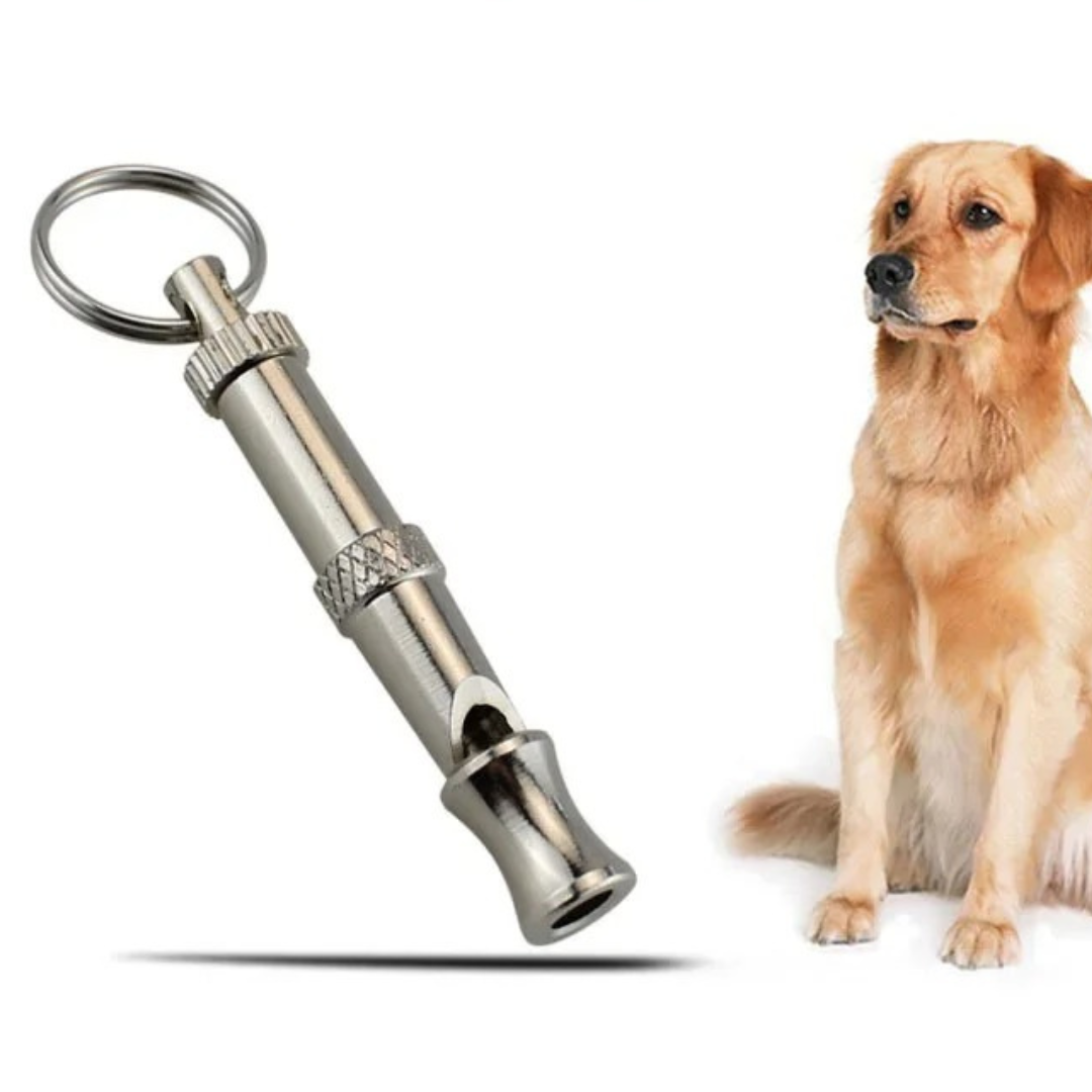 "Edelstahl Hundepfeife, justierbare Frequenz, langlebig, rostfrei, ideal für Hundetraining, elegantes Design, tragbar"