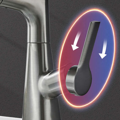 Mitigeur de lavabo avec douchette extractible