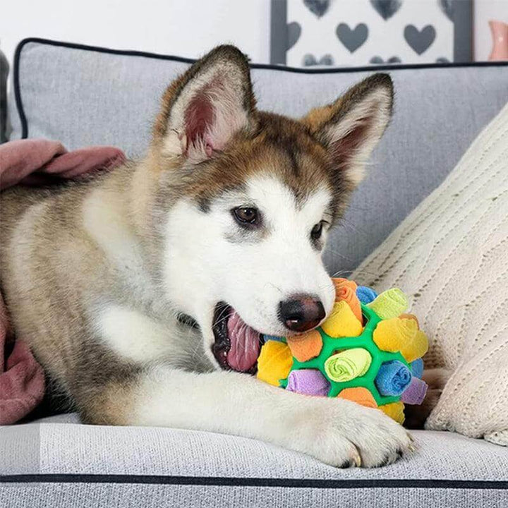Jouet intelligent pour chien avec tapis à renifler
