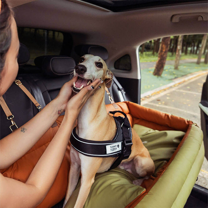 Eleganter Kunstleder-Hundeautositz in Schwarz, komfortabel mit Sicherheitsleinen und Polsterung, stilvoll für Reisen.