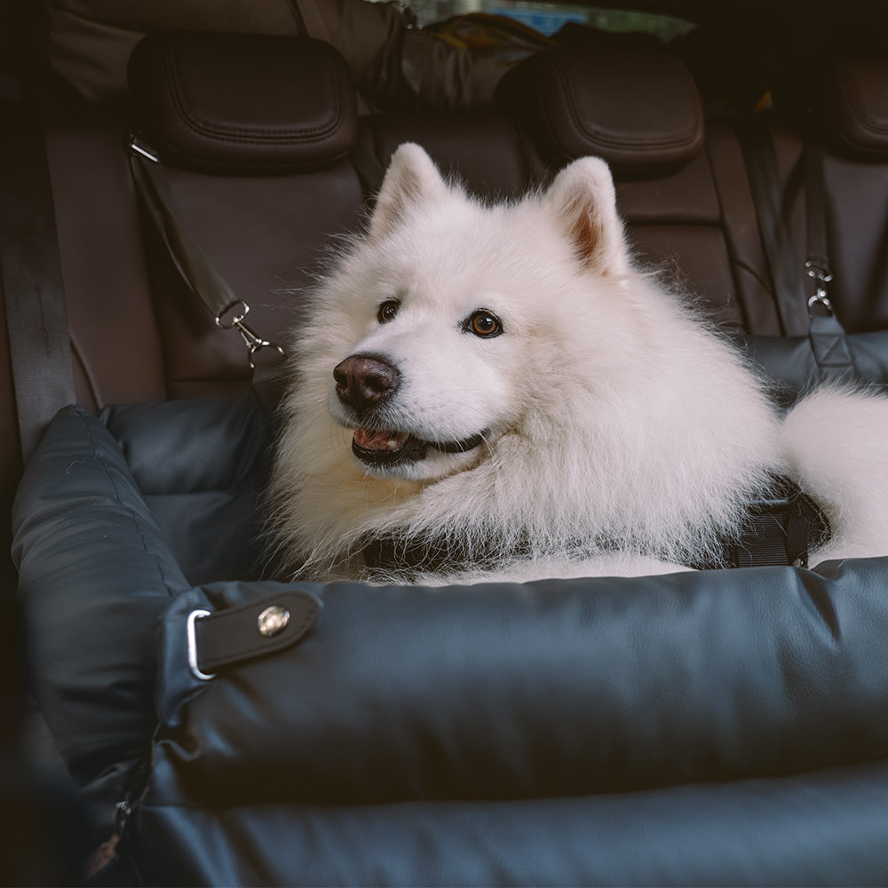 Eleganter Kunstleder-Hundeautositz in Schwarz, komfortabel mit Sicherheitsleinen und Polsterung, stilvoll für Reisen.