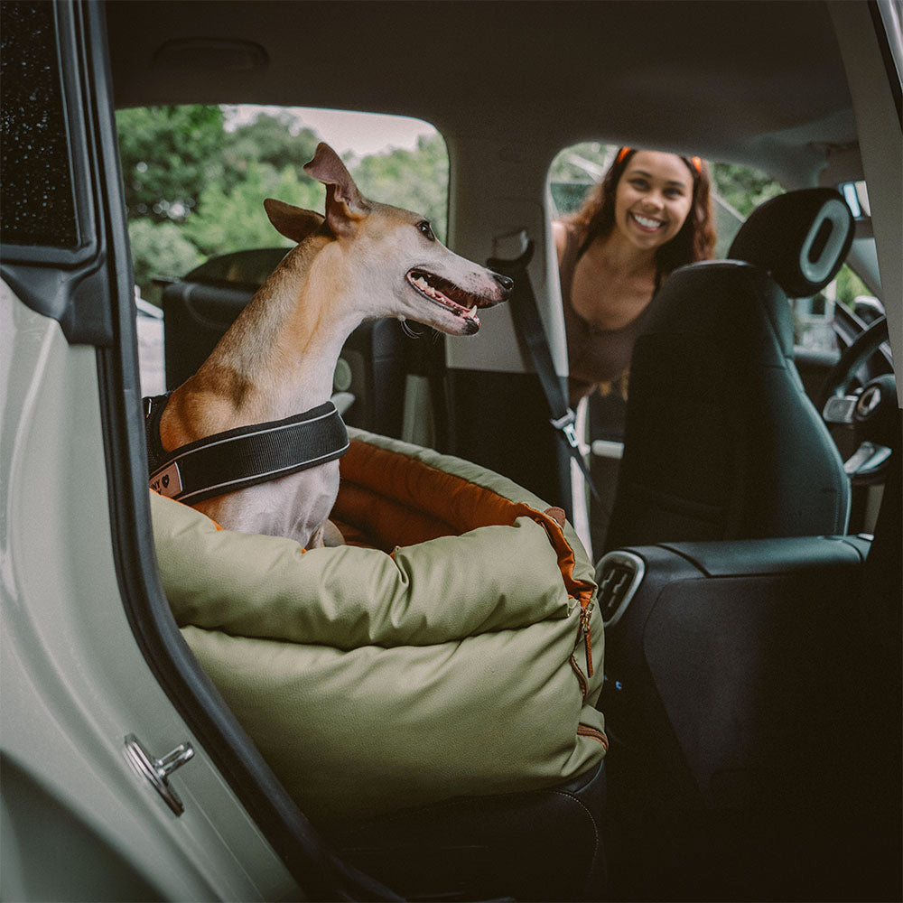 Eleganter Kunstleder-Hundeautositz in Schwarz, komfortabel mit Sicherheitsleinen und Polsterung, stilvoll für Reisen.