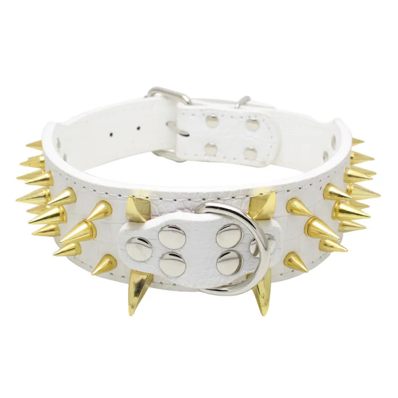 "Elegantes, verstellbares Hundehalsband mit auffälligen Goldnieten, ideal für große Hunde, robust und stilvoll."