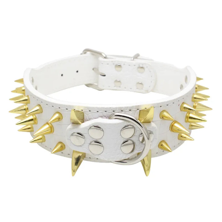 "Elegantes, verstellbares Hundehalsband mit auffälligen Goldnieten, ideal für große Hunde, robust und stilvoll."