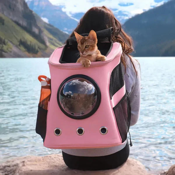 Ergonomische Katzen Transporttasche mit Netzbelüftung, weicher Polsterung, ergonomischem Design und großem Sichtfenster.