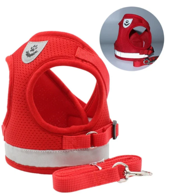 "Ergonomisches Katzengeschirr mit Leine, blau, für sicheren und bequemen Spaziergang, atmungsaktiv und verstellbar."