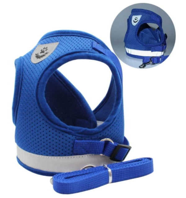 "Ergonomisches Katzengeschirr mit Leine, blau, für sicheren und bequemen Spaziergang, atmungsaktiv und verstellbar."