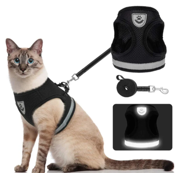 "Ergonomisches Katzengeschirr mit Leine, blau, für sicheren und bequemen Spaziergang, atmungsaktiv und verstellbar."