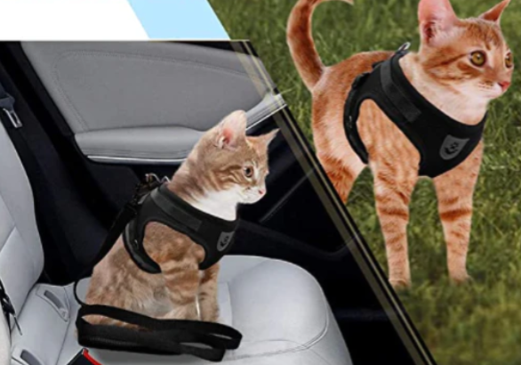 "Ergonomisches Katzengeschirr mit Leine, blau, für sicheren und bequemen Spaziergang, atmungsaktiv und verstellbar."