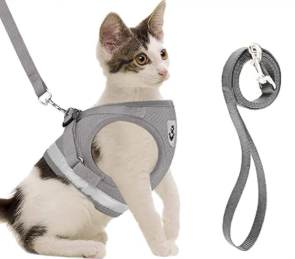 "Ergonomisches Katzengeschirr mit Leine, blau, für sicheren und bequemen Spaziergang, atmungsaktiv und verstellbar."