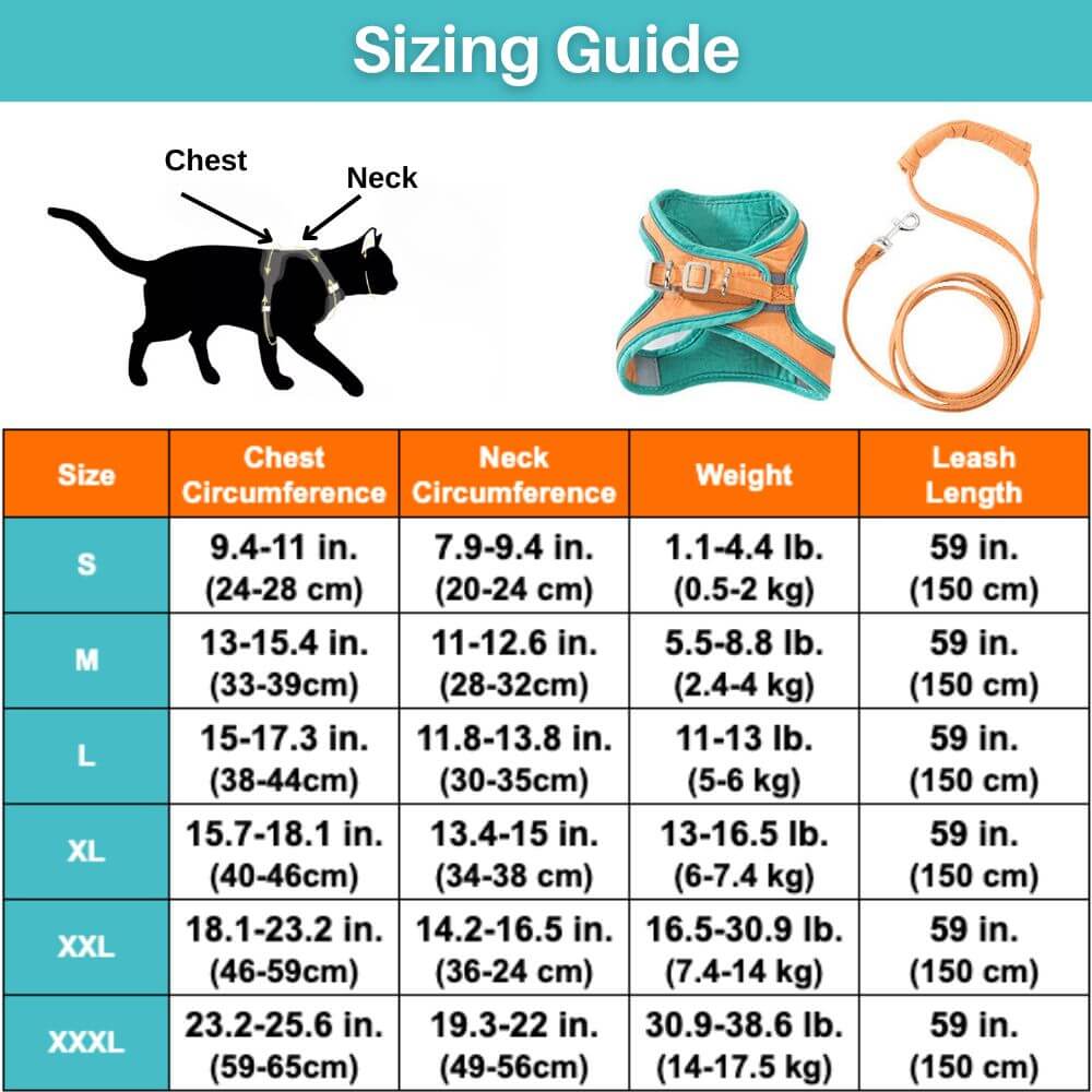 Ausbruchsicheres Katzengeschirr