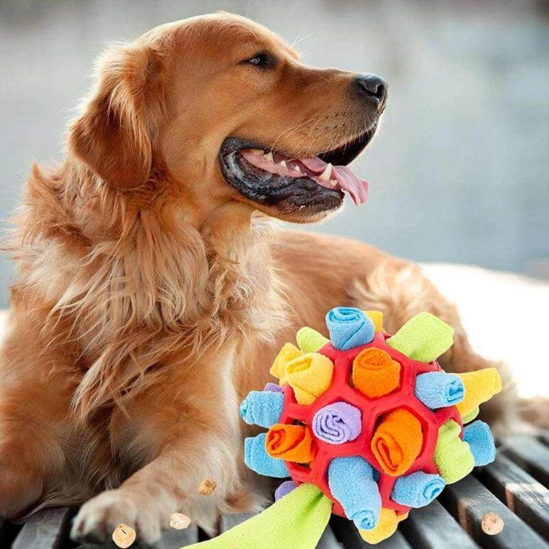 Jouet intelligent pour chien avec tapis à renifler