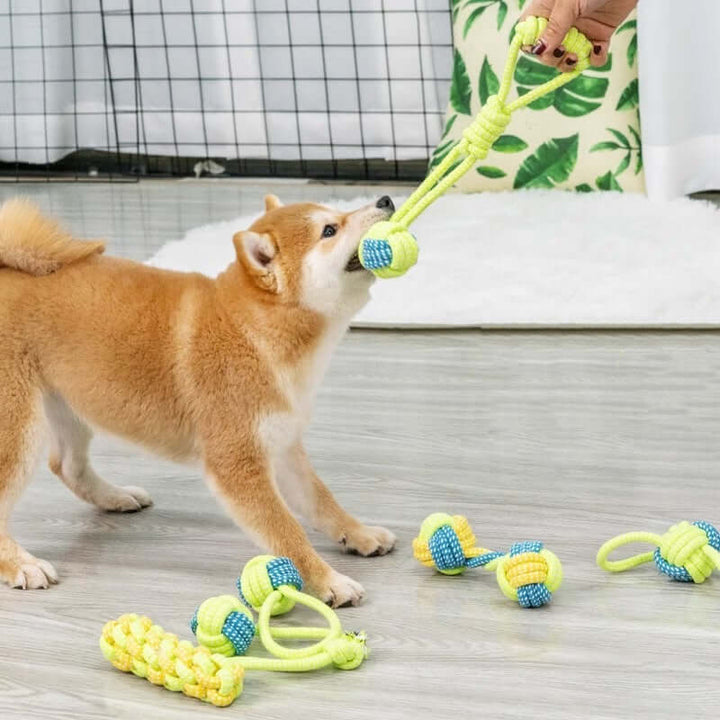 Jouet pour chien en corde - soins dentaires et divertissement